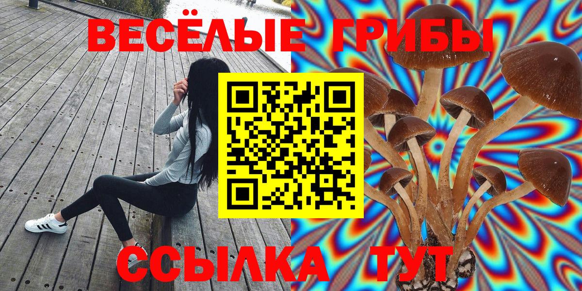 Галлюциногенные грибы GOLDEN TEACHER Жуковский