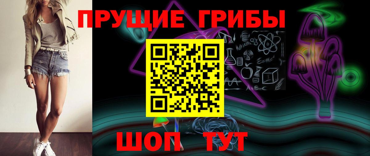 Жуковский  Псилоцибиновые грибы Cubensis  Вход с VPN 